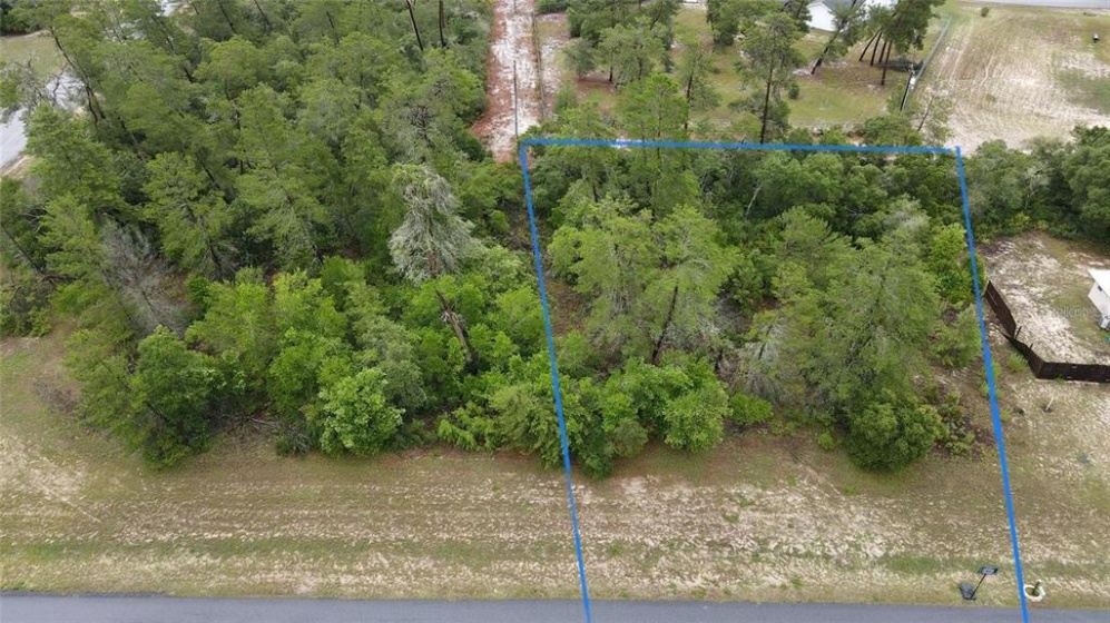 36TH AVE RD, OCALA, Florida 34473, ,Land,For Sale,36TH AVE RD,O5993310