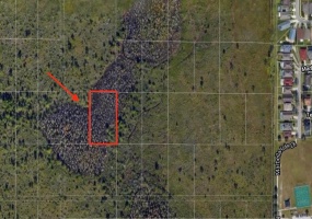 0 INTERNATIONAL DRIVE, ORLANDO, Florida 32821, ,Land,For Sale,INTERNATIONAL,O5990836