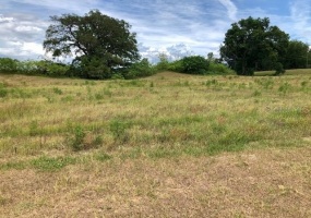 OCALA, Florida 34475, ,Land,For Sale,OM631964