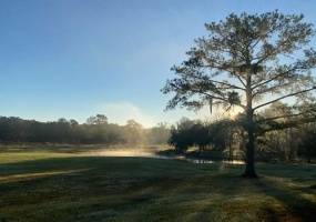 101ST ROAD, OCALA, Florida 34482, ,Land,For Sale,101ST,OM631993