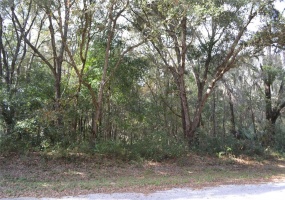 0 LOCUST TERRACE PLACE, OCALA, Florida 34472, ,Land,For Sale,LOCUST TERRACE PLACE,OM632085