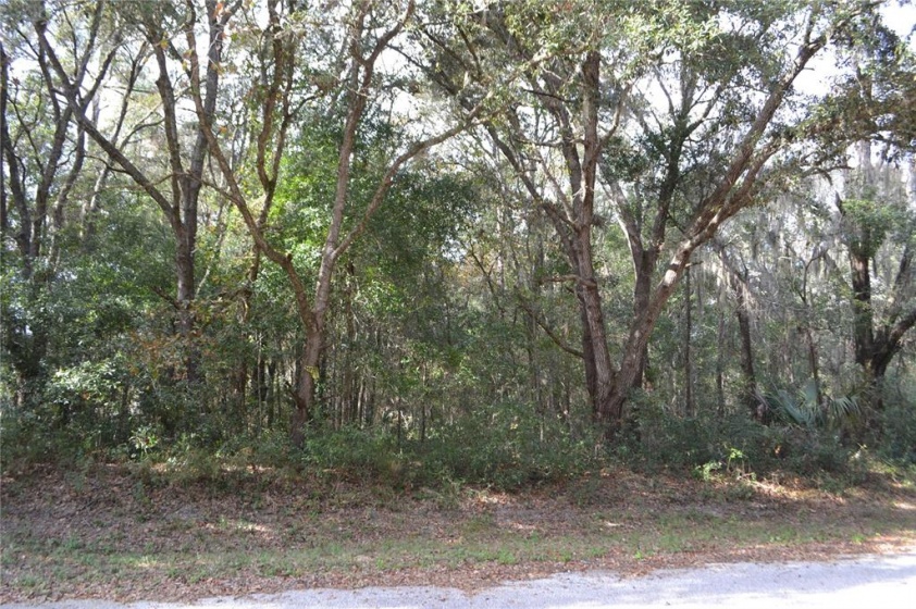 0 LOCUST TERRACE PLACE, OCALA, Florida 34472, ,Land,For Sale,LOCUST TERRACE PLACE,OM632085