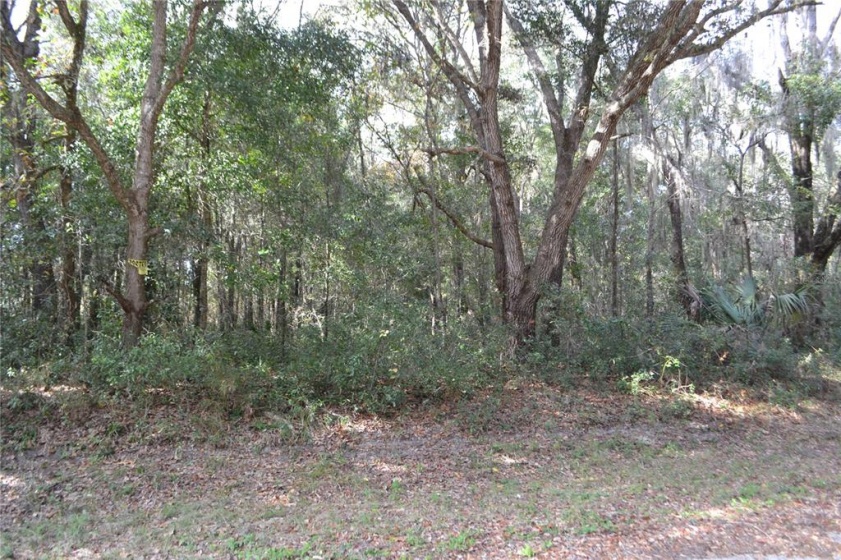 0 LOCUST TERRACE PLACE, OCALA, Florida 34472, ,Land,For Sale,LOCUST TERRACE PLACE,OM632085