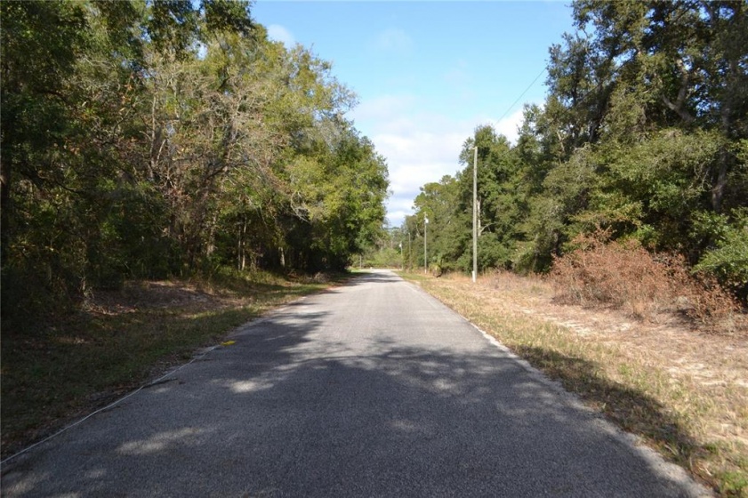 0 LOCUST TERRACE PLACE, OCALA, Florida 34472, ,Land,For Sale,LOCUST TERRACE PLACE,OM632085