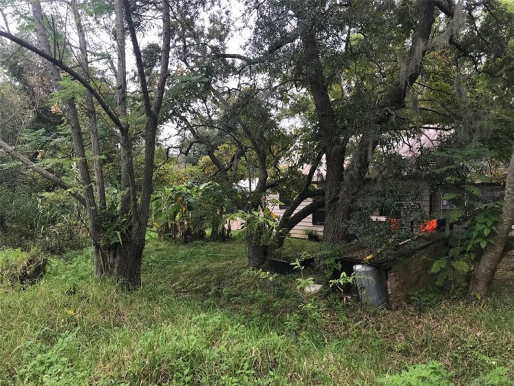 1457 AVALON ROAD, WINTER GARDEN, Florida 34787, ,Land,For Sale,AVALON,O5994219