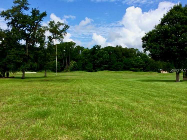 698 SHADOWMOSS CIRCLE, LAKE MARY, Florida 32746, ,Land,For Sale,SHADOWMOSS,O5994357
