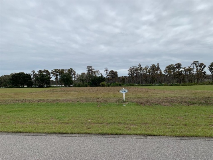 5076 LAKESHORE RANCH ROAD, GROVELAND, Florida 34736, ,Land,For Sale,LAKESHORE RANCH,O5984672