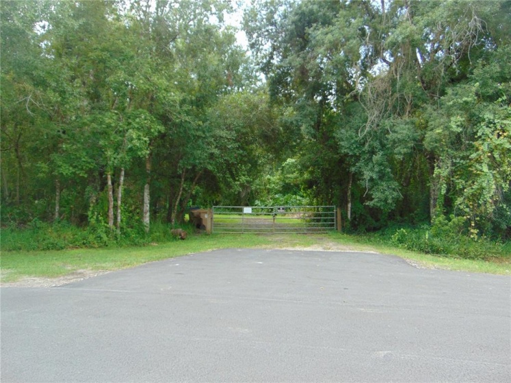 CITRUS STREET, KISSIMMEE, Florida 34746, ,Land,For Sale,CITRUS,S5054616