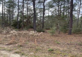 TBD 30TH STREET, OCALA, Florida 34481, ,Land,For Sale,30TH,OM632303