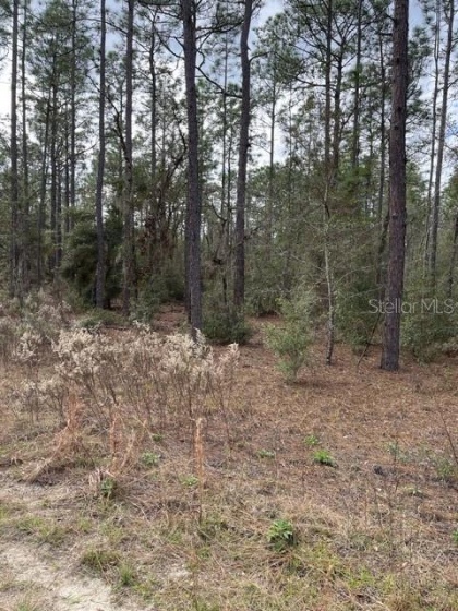 TBD 30TH STREET, OCALA, Florida 34481, ,Land,For Sale,30TH,OM632303