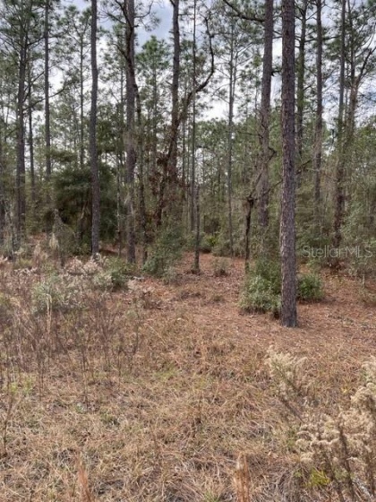 TBD 30TH STREET, OCALA, Florida 34481, ,Land,For Sale,30TH,OM632303