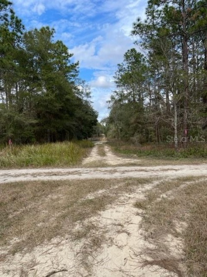 TBD 30TH STREET, OCALA, Florida 34481, ,Land,For Sale,30TH,OM632303