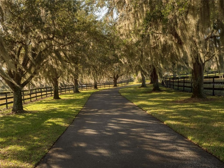 9110 HWY 225A, OCALA, Florida 34482, 4 Bedrooms Bedrooms, ,2 BathroomsBathrooms,Residential,For Sale,HWY 225A,OM632294