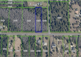 20461 OBERLY PARKWAY, ORLANDO, Florida 32833, ,Land,For Sale,OBERLY,T3348911