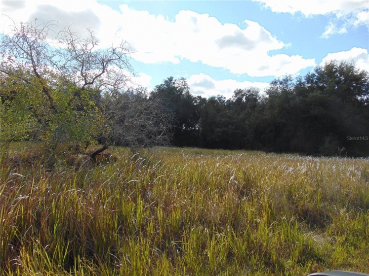 WILLOW ROAD, OCALA, Florida 34472, ,Land,For Sale,WILLOW,G5050442