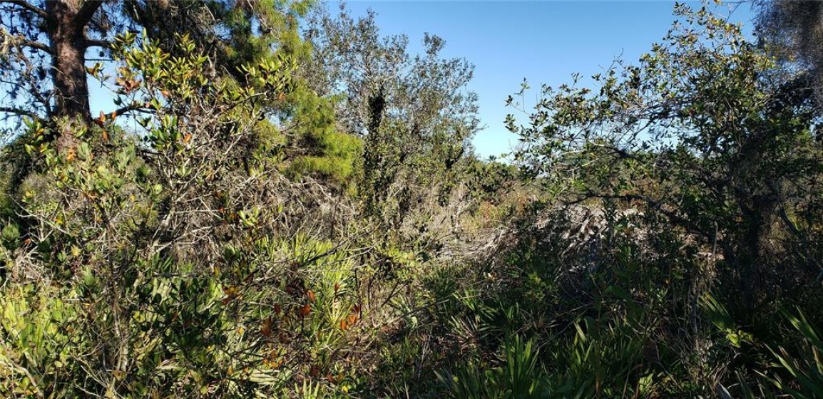 0 LIGHTHOUSE AVENUE, LAKE WALES, Florida 33859, ,Land,For Sale,LIGHTHOUSE,S5061058
