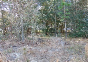 WILLOW ROAD, OCALA, Florida 34472, ,Land,For Sale,WILLOW,G5050462