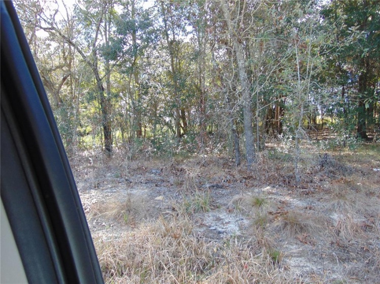 WILLOW ROAD, OCALA, Florida 34472, ,Land,For Sale,WILLOW,G5050462