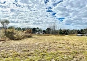 OCALA, Florida 34470, ,Land,For Sale,S5060375