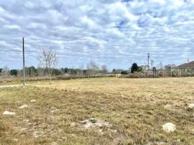 OCALA, Florida 34470, ,Land,For Sale,S5060375