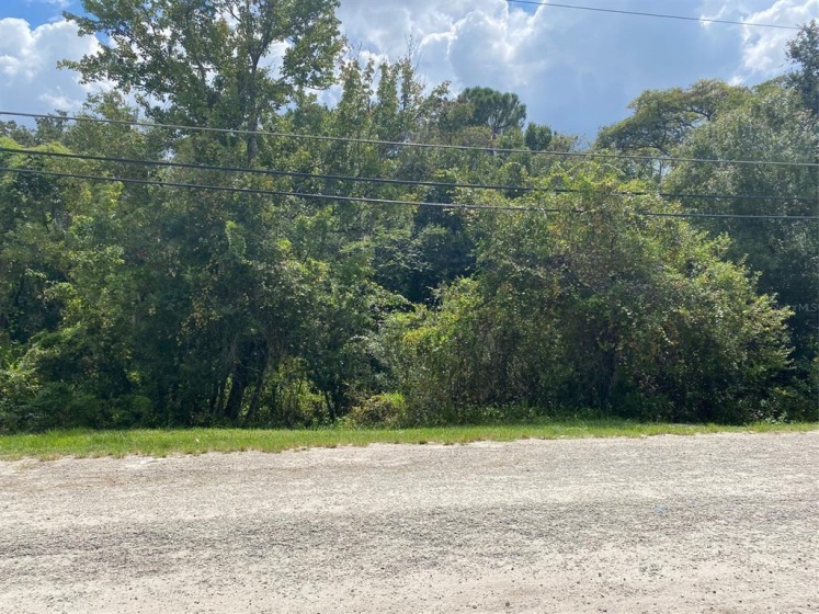 3800 NEW HAMPSHIRE STREET, ORLANDO, Florida 32808, ,Land,For Sale,NEW HAMPSHIRE,O5973831