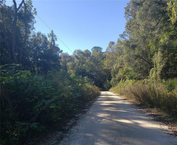 TBD 6TH LANE, OCALA, Florida 34481, ,Land,For Sale,6TH,OM630188