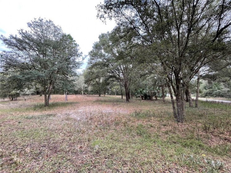 TBD 137TH COURT RD, OCALA, Florida 34481, ,Land,For Sale,137TH COURT RD,OM632226