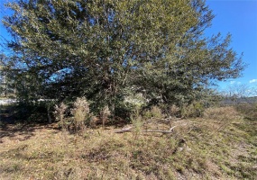 PINE COURSE PASS, OCALA, Florida 34472, ,Land,For Sale,PINE COURSE,G5050513