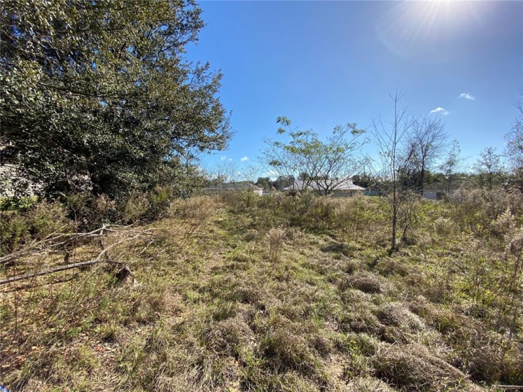 PINE COURSE PASS, OCALA, Florida 34472, ,Land,For Sale,PINE COURSE,G5050513