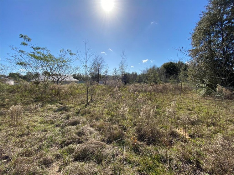 PINE COURSE PASS, OCALA, Florida 34472, ,Land,For Sale,PINE COURSE,G5050513