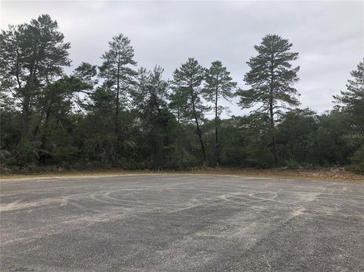 TBD 32ND CIRCLE, OCALA, Florida 34473, ,Land,For Sale,32ND,OM632463