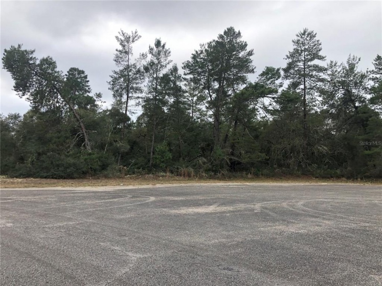 TBD 32ND CIRCLE, OCALA, Florida 34473, ,Land,For Sale,32ND,OM632463