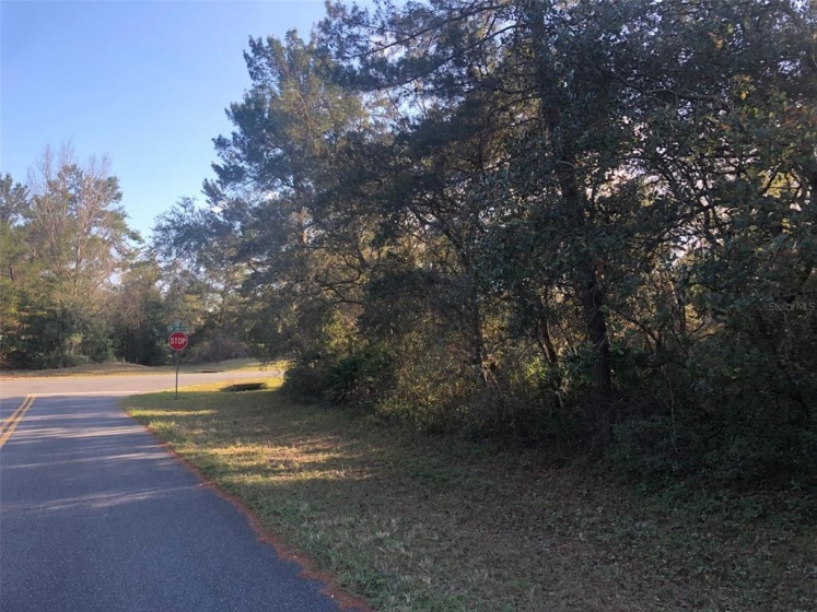 SW 36TH AVE RD, OCALA, Florida 34473, ,Land,For Sale,SW 36TH AVE RD,OM632482