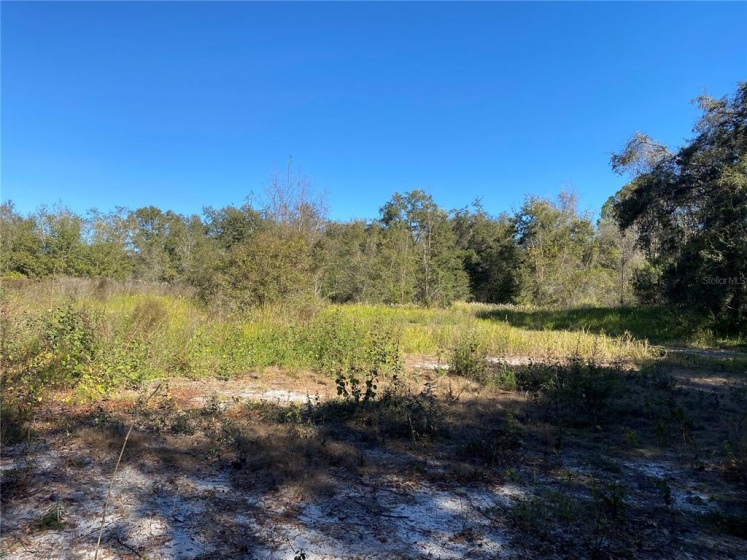 7729 PRETTY LAKE ROAD, CLERMONT, Florida 34714, ,Land,For Sale,PRETTY LAKE,G5050618