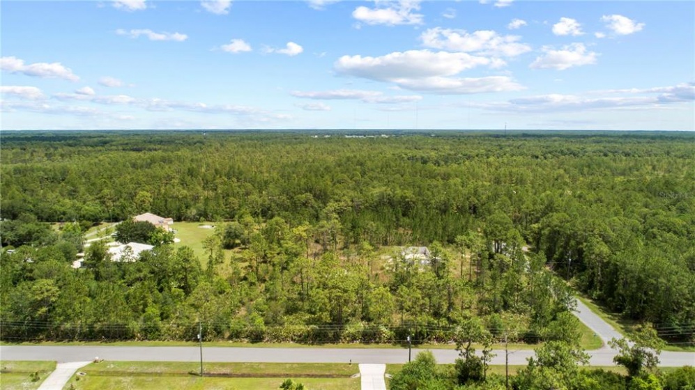 1 MAJESTIC STREET, ORLANDO, Florida 32833, ,Land,For Sale,MAJESTIC,O5979414