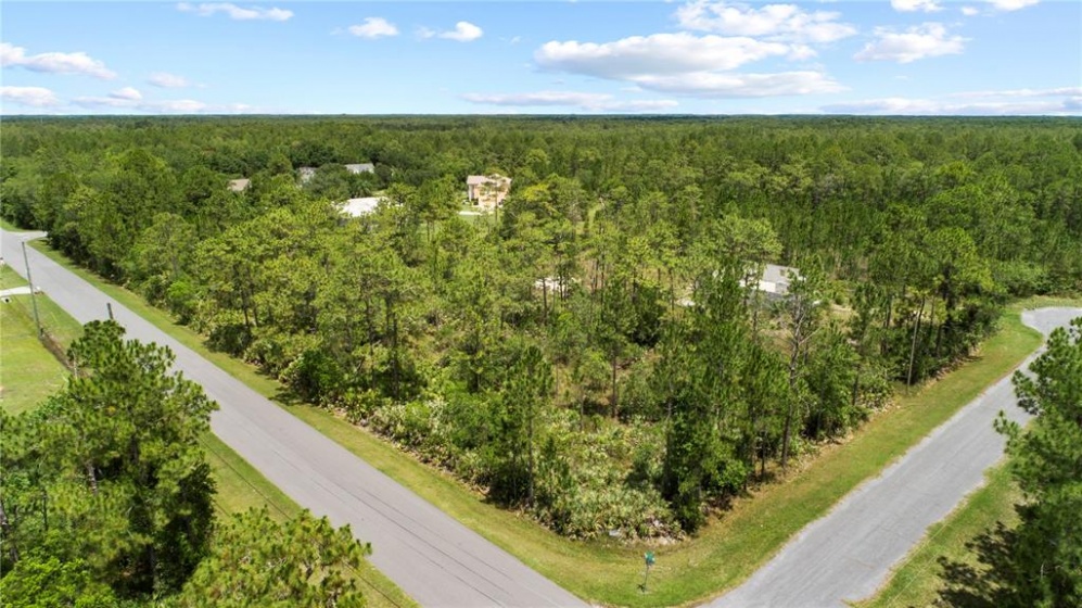 1 MAJESTIC STREET, ORLANDO, Florida 32833, ,Land,For Sale,MAJESTIC,O5979414