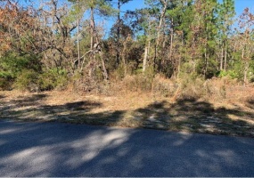 0 151 LANE, OCALA, Florida 34473, ,Land,For Sale,151,OM632520