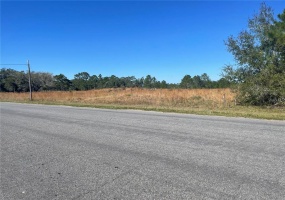 REYNOLDS PARKWAY, ORLANDO, Florida 32833, ,Land,For Sale,REYNOLDS,O5996501
