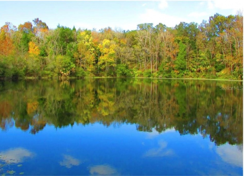 4623 GAINESVILLE ROAD, OCALA, Florida 34475, ,Land,For Sale,GAINESVILLE,G5050646