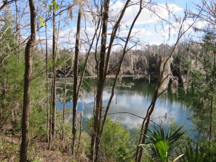 4623 GAINESVILLE ROAD, OCALA, Florida 34475, ,Land,For Sale,GAINESVILLE,G5050646