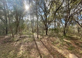 Lot 2 38TH AVENUE ROAD, OCALA, Florida 34473, ,Land,For Sale,38TH AVENUE,OM632614