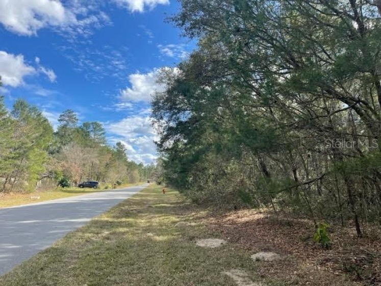 Lot 2 38TH AVENUE ROAD, OCALA, Florida 34473, ,Land,For Sale,38TH AVENUE,OM632614