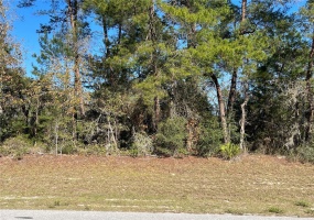 MARION OAKS MANOR, OCALA, Florida 34473, ,Land,For Sale,MARION OAKS MANOR,OM632711