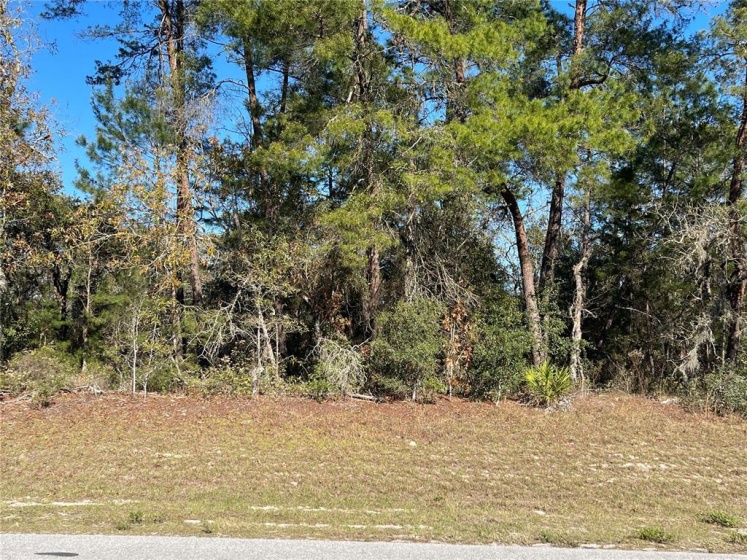 MARION OAKS MANOR, OCALA, Florida 34473, ,Land,For Sale,MARION OAKS MANOR,OM632711