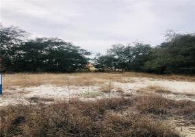 1329 SAINT AUGUSTINE DRIVE, POINCIANA, Florida 34759, ,Land,For Sale,SAINT AUGUSTINE,S5061426