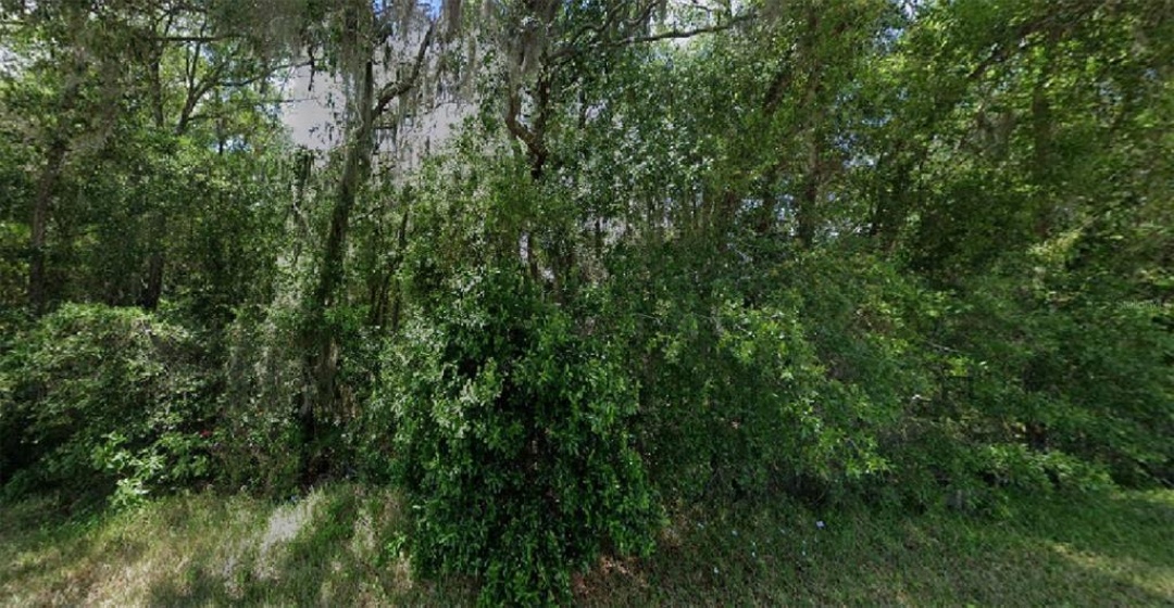COUNTY ROAD 455, CLERMONT, Florida 34711, ,Land,For Sale,COUNTY ROAD 455,O5993490