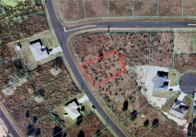 000 LAUREL COURSE, OCALA, Florida 34480, ,Land,For Sale,LAUREL,OM632772