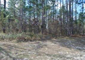 0 73 AVENUE ROAD, OCALA, Florida 34473, ,Land,For Sale,73 AVENUE,OM632875
