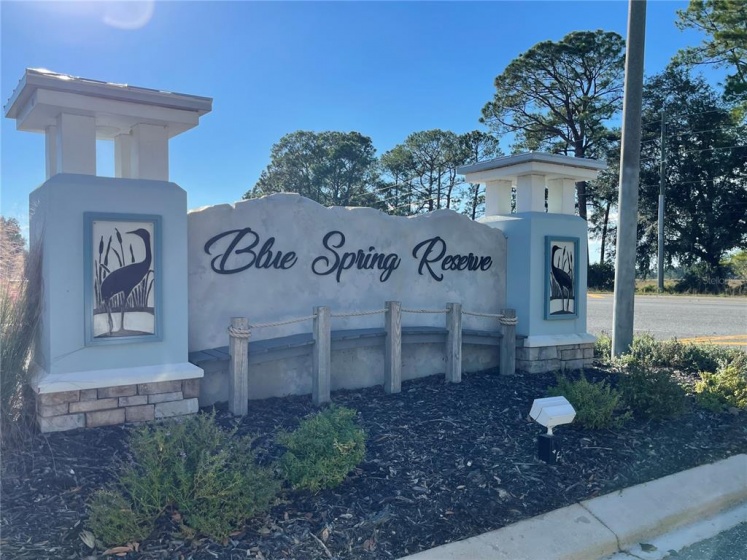 461 LONG AND WINDING ROAD, GROVELAND, Florida 34736, ,Land,For Sale,LONG AND WINDING ROAD,G5048437