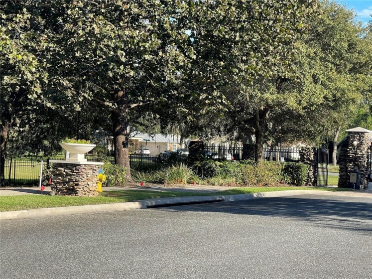 461 LONG AND WINDING ROAD, GROVELAND, Florida 34736, ,Land,For Sale,LONG AND WINDING ROAD,G5048437
